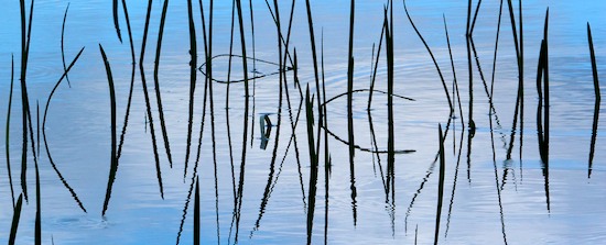 Abstract;Abstractions;Blue;Cloud;Cloud Formation;Clouds;Grass;Mississippi;Patterns;Reflection;Reflections;Shapes;Silhouette;Sky;Textures;Weather;White;Yazoo National Wildlife Refuge