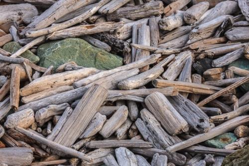 Beige;Boulder;Branches;Brown;California;Crescent City;Geological;Geology;Herbaceous;Natural;Ocean;Organic;Pebble Beach;Rock;Rock formations;Rocks;Silver;Stone;Stones;Tan;Tree;United States;Warm Colors;Warm Palette;Warm Tones;bark;beach;beaches;branch;coast;coastline;color;gray;green;grey;plant;plants;rust;sea;shore;shoreline;striation;tree trunk;trees;trunk