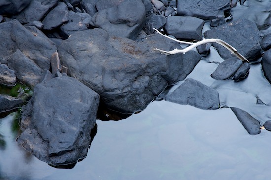 Alabama;Boulder;Branch;Fort Payne;Geological;Geology;Little River Canyon National Preserve;Reflection;Reflections;Rock;Rock Formations;Rocks;Stone;Stones;Striation