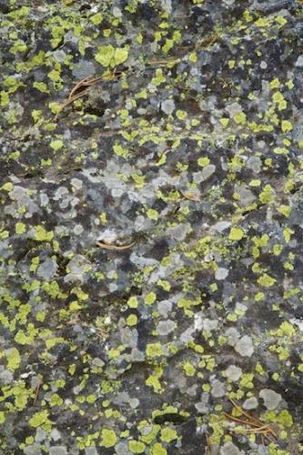 Rock;Lichen;Geological;Rock Formations;Geology;Abstractions;Gray;Boulder;Patterns;Stone;Striation;Abstract;Wyoming;Rocks;Shapes;Stones;Green;Textures