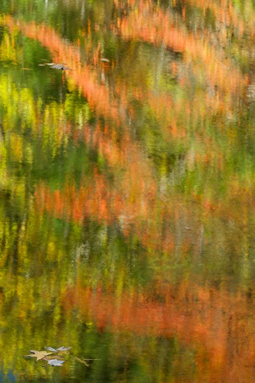 Abstract;Abstractions;Autumn;Boulder;Brook;Chatsworth;Chattahoochee National Forest;Creek;Fall;Foliage;Georgia;Holly Creek;Holly Creek Preserve;Leaf;Leafy;Leaves;Patterns;Reflection;Reflections;Rivulet;Rock;Rock Formations;Rocks;Shapes;Stone;Stones;Stream;Streamlet;Striation;Textures