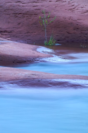 Abstract;Abstractions;Cool;Flow;Flowing;Pouring;Stream;Water;Wet