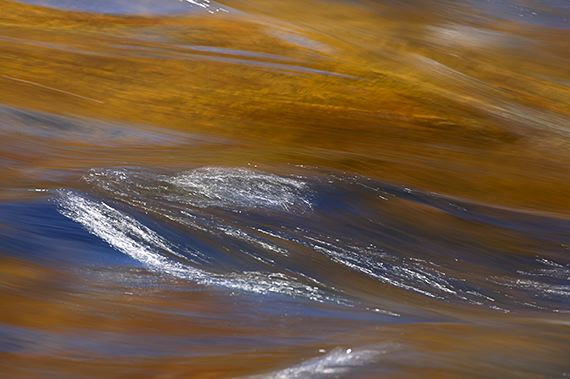 Water;Stream;Creek;Brook;Rivulet;Flow;Flowing;Wet;Tributary;Cascade;Gush;Streamlet;Torrent;Pouring;White Water;Rapids;Bubbling;River;Pool of Water;Reflections;Oneness;Sunlight;Sun;Beams;Sunbeam;Rays;Light;Luminance;Illuminate