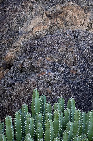 Arizona;Desert;Abstract;Abstractions;Patterns;Shapes;Textures