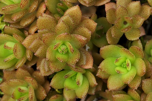 Abstract;Abstractions;Patterns;Shapes