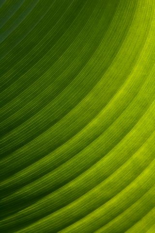 Abstract;Abstractions;Patterns;Shapes