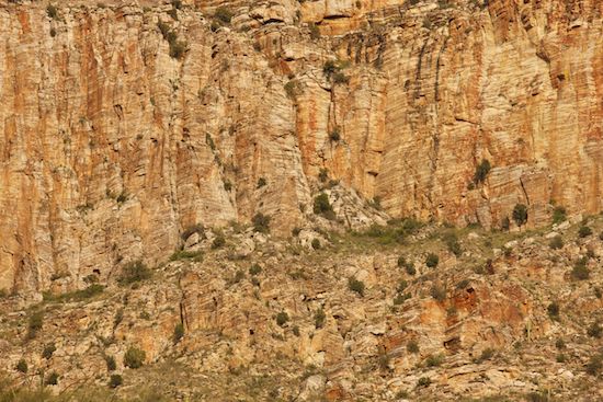 Abstract;Patterns;Tan;Orange;Abstractions;Cliff;Sabino Canyon;Shapes;Precipice;Textures;Bluff;Arizona