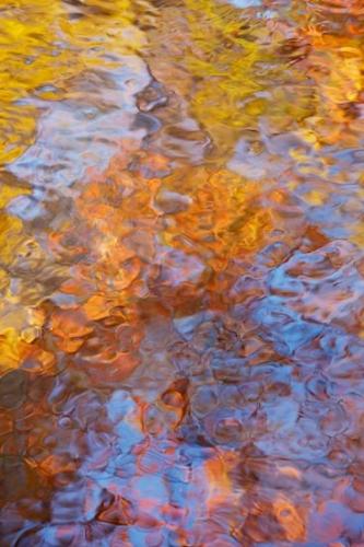 Stream;Abstractions;River;Gold;Creek;Rivers;Tennessee;Autumn;Brook;Patterns;waterway;Reflections;Reflection;River Bed;Textures;Great Smoky Mountains National Park;United States;Water;Blue;Riverbed;Abstract;Fall;Shapes;Red;Orange;Yellow