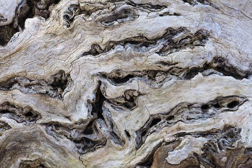 Waterfall;Patterns;Cascade;Chute;logs;Waterfalls;Water;West Virginia;Streaming;trunk;Abstract;Cascading;Sandstone Falls;log;Falls;Pouring;Textures;tree trunk