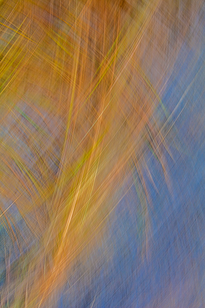 Abstract;Abstraction;Blue;Calm;Design;Line;Modern;Nature;Pastoral;Shape;Yellow;contemporary;contemporary art;green;modern art;oneness;orange;pattern;peaceful;serene;soothing;texture;tranquil;wind;zen