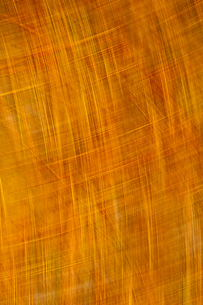 Abstract;Abstraction;Calm;Close-up;Healing;Line;Nature;Pastoral;Shape;Yellow;oneness;orange;pattern;peaceful;restful;serene;soothing;texture;tranquil;zen