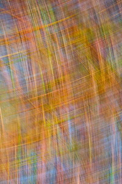 Abstract;Abstraction;Calm;Close-up;Healing;Line;Nature;Pastoral;Shape;Yellow;oneness;orange;pattern;peaceful;restful;serene;soothing;texture;tranquil;zen