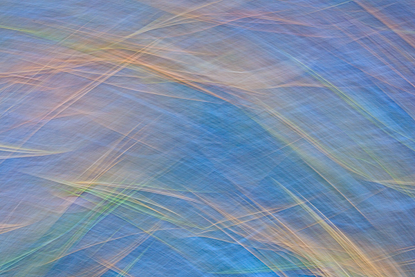 Abstract;Abstraction;Aqua;Blue;Calm;Close-up;Healing;Line;Looking up;Minimalism;Nature;Pastoral;Shape;Yellow;green;oneness;orange;pattern;peaceful;red;restful;serene;soothing;texture;tranquil;zen