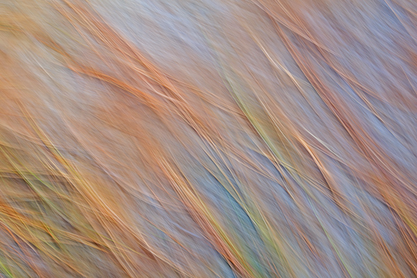 Abstract;Abstraction;Blue;Calm;Close-up;Healing;Line;Nature;Pastoral;Shape;Yellow;oneness;orange;pattern;peaceful;restful;serene;soothing;texture;tranquil;zen