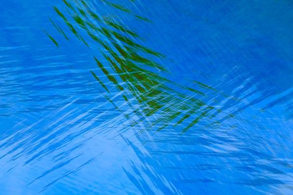 Abstract;Abstraction;Blue;Concepts;Cool Colors;Cool Palette;Cool Tones;Green;Greens;Line;Montgomery Bell State Park;Nature;Oneness;Pastoral;Ripple;State Park;Tennessee;United States;Water;color;lake;pattern;peaceful;reflection;reflections;soothing;tranquil;zen