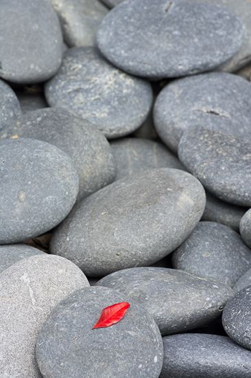 Leaf;Leaves;Leafy;Foliage;Vein;Textures;Shapes;Patterns;Abstractions;Abstract;Striation;Stone;Rock;Boulder;Geology;Geological;Rock formations;Rocks;Pebble;Weathered;Aged;Worn
