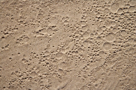 Abstract;Abstractions;Beach;Beaches;Drift;Dune;Heap;Hillock;Mound;Ocean;Patterns;Ridge;Sand;Sand Dune;Sea;Shapes;Shore;Shoreline;Textures;Water;Waves;White Sand