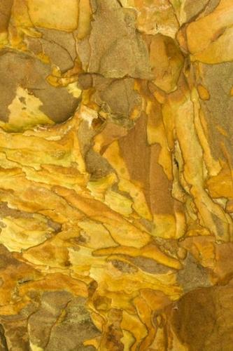 Rocks;Stone;Yellow;Boulder;Abstract;Brown;Orange;Geological;Abstractions;Striation;Rock;Textures;Tan;Patterns;Geology;Shapes