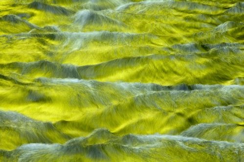 Textures;Shapes;Patterns;Abstractions;Abstract;Waterfalls;Spilling;Falling;Chute;Falls;Cataract;Spray;Cascading;Cascade;Flow;Wet;Cool;Pouring;Flowing;Water;Stream;Waterfall;Reflections;Reflection;Brook;Creek;Rivulet;Streamlet