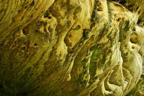 Sheer;Bluff;Steep;Abstractions;Stones;Rock;Pebbles;Pogue Creek;Textures;Rock Formations;Patterns;Cumberland Plateau;Stone;Boulder;Jamestown;Pebble;Canyon;Cliff;Abstract;Boulders;Rock Face;Shapes;Rocks;Tennessee