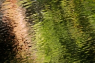 Abstract;Abstractions;Allardt;Beige;Brown;Colditz-Cove;Green;Patterns;Reflection
