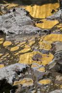 Abstract;Alabama;Reflections;Rock-Formations;Rocks;Tennessee;Walls-of-Jericho