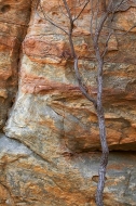 Tennessee;Cumberland-Plateau;Rock-Formations;Rocks;Fall-Scenes;Cliff
