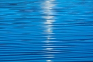 Abstract;Abstraction;Abstractions;Blue;Botanical;Calm;Line;Minimalism;Modern;Pas