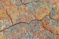 20260409-854
