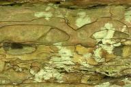 Textures;Shapes;Patterns;Abstractions;Abstract;Striation;Stone;Rock;Boulder;Geol