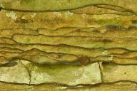 Textures;Shapes;Patterns;Abstractions;Abstract;Striation;Stone;Rock;Boulder;Geol