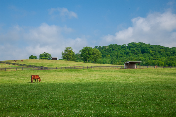 Agricultural;Agriculture;Barn;Blue;Brown;Calm;Cloud;Cloud Formation;Clouds;Farm;Farming;Fields;Healing;Health care;Healthcare;Hill;Horse;Horse Farm;Horses;Image type;Landscape;Nature;Pastoral;Photo specs;Tennessee;United States;White;farm;fence;field;green;hillside;landscape;oneness;pasture;peaceful;restful;serene;sky;soothing;tranquil;zen