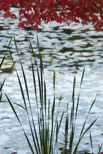 New York;Harriman State Park