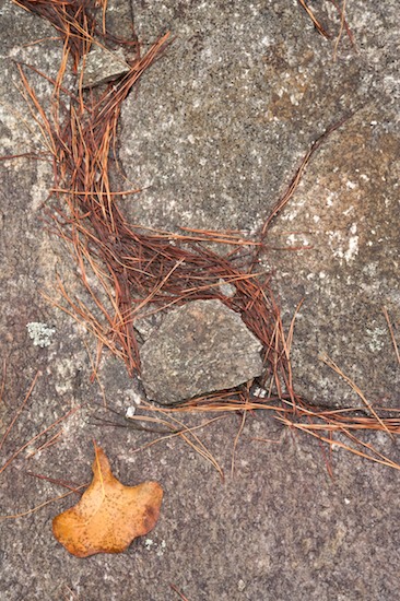 Abstract;Abstractions;Boulder;Camp Meeting Rock;Franklin;Geological;Geology;Georgia;Granite;Leaf;Needle;Oak;Patterns;Pine;Rock;Rock Formations;Rocks;Shapes;Stone;Stones;Striation;Textures