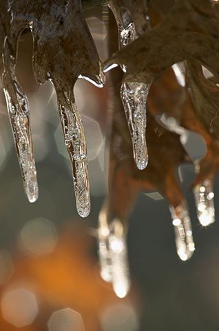 Ice;Icicles;Frozen;Freeze;Cold;Water