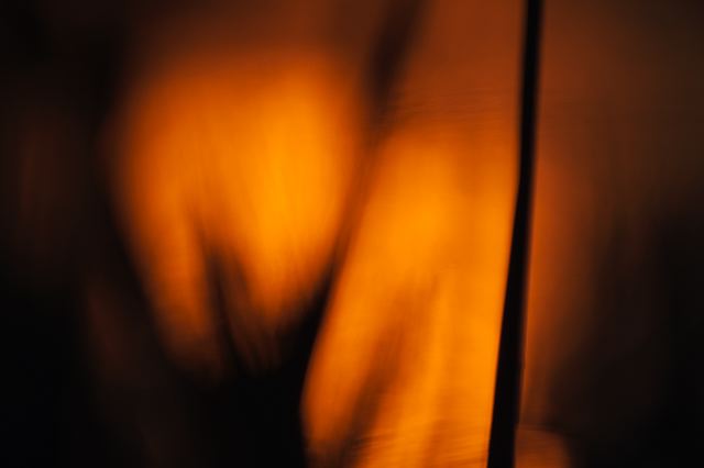 Plants;Botanical;Leaf;Leaves;Vegetation;Foliage;Veins;Compound;Leaflet;Pool of Water;Reflections;Oneness;Tennessee