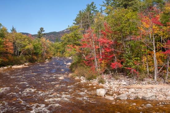 Autumn;Blue;Boulder;Boulders;Branches;Brook;Calm;Cascade;Cascading;Creek;Fall;Falls;Flow;Forest;Forested;Nature;New England;New Hampshire;Pastoral;Pebbles;Pouring;River;Rock;Rock formations;Rocks;Stone;Stones;Stream;Stream Bank;Streaming;Sunshine;Timber;Timberland;Tree;Vein;Water;Waterfalls;Waterscape;Wood;Woodland;Woods;branch;flowing;foliage;green;landscape;leaves;limbs;oneness;orange;peaceful;plants;rapids;red;restful;river bank;serene;soothing;sunlit;tranquil;tree limbs;tree trunk;trees;zen