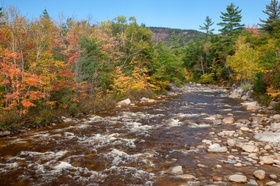 Autumn;Blue;Boulder;Boulders;Branches;Brook;Calm;Cascade;Cascading;Creek;Fall;Falls;Flow;Forest;Forested;Healing;Health care;Healthcare;Nature;New England;New Hampshire;Pastoral;Pebbles;Pouring;River;Rock;Rock formations;Rocks;Stone;Stones;Stream;Stream Bank;Streaming;Sunshine;Timber;Timberland;Tree;Vein;Water;Waterfalls;Waterscape;Wood;Woodland;Woods;branch;flowing;foliage;green;landscape;leaves;limbs;oneness;orange;peaceful;plants;rapids;red;restful;river bank;serene;soothing;sunlit;tranquil;tree limbs;tree trunk;trees;zen