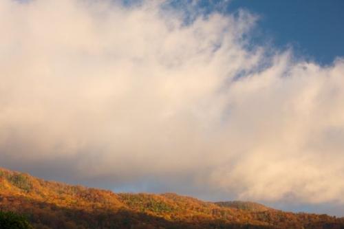 Pinnacle;Clouds;Sky;Mountainous;Tennessee;Mountainside;Forest;Orange;White;Hill;Woodlands;Green;Hills;Cloud;Hilltop;Sunlight;Mountain;Mountains;Trees;Mountain Top;Hillside;Precipice;Cloud Formation;Peak;Fall;Autumn;Great Smoky Mountains National Park;Blue;Sunshine;Sunlit