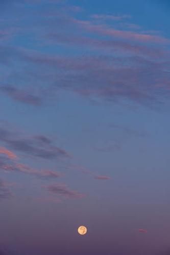 Blue;Cloud;Cloud Formation;Clouds;Evening;Magenta;Moon;Pink;Sky;Yellow;moon light;night