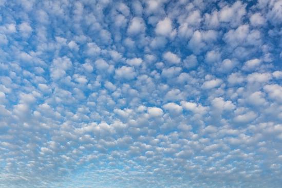Abstract;Abstraction;Blue;Calm;Cirrocumulus;Cloud;Cloud Formation;Clouds;Healing;Health care;Healthcare;Minimalism;Nature;Pastoral;Shape;Weather;White;landscape;oneness;pattern;peaceful;restful;serene;sky;soothing;texture;tranquil;zen