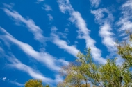 Blue;Blues;Branches;Calm;Cloud;Cloud-Formation;Clouds;Cool-Colors;Cool-Palette;C