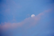 Sky;White;Pink;Blue;Clouds;Cloud;Moon;Cloud-Formation