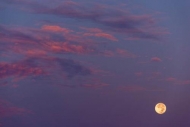 Blue;Cloud;Cloud-Formation;Clouds;Evening;Magenta;Moon;Pink;Sky;Yellow;moon-ligh