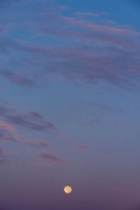 Blue;Cloud;Cloud-Formation;Clouds;Evening;Magenta;Moon;Pink;Sky;Yellow;moon-ligh