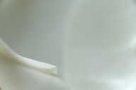 Abstract;Abstractions;Bloom;Blossom;Blossoms;Floret;Flower;Floweret;Flowering;Fl