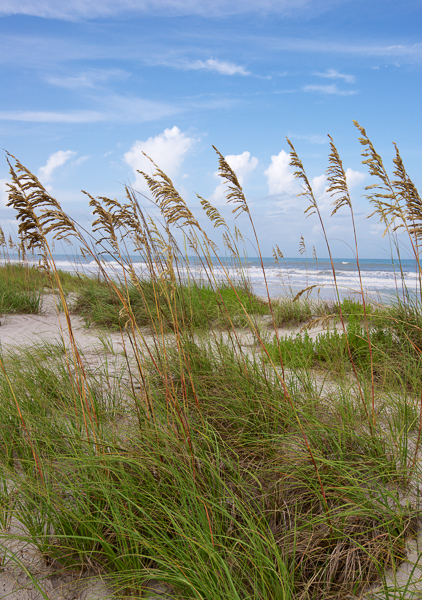 Coast;Florida;Keepers;Ocean;Sand;Sea;Sea Oats;Seascape;United States;Water;Waves;beach;beaches;coast;coastline;sea;shore;shoreline;tropical