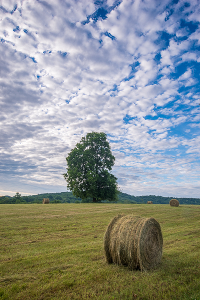 Agricultural;Agriculture;Bale;Blue;Blues;Calm;Cloud;Cloud Formation;Clouds;Cloudy;Cool Colors;Cool Palette;Cool Tones;Farming;Healing;Health care;Healthcare;Hill;Keepers;Mountain;Nature;Tree;Warm Colors;Warm Palette;Warm Tones;Yellow;art deco;blue;color;field;grass;green;hay;hillside;landscape;pasture;peaceful;restful;serene;sky;soothing;tranquil;trees;yellow