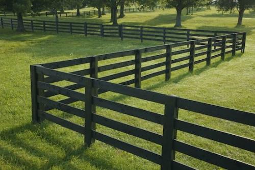 Green;Abstractions;Plant;Black;Tree;Herbaceous;Tennessee;Shadow;bark;Angle;Patterns;Trunk;Fence;Textures;Trees;Branch;Tree Trunk;Abstract;Shapes;Branches;Grass