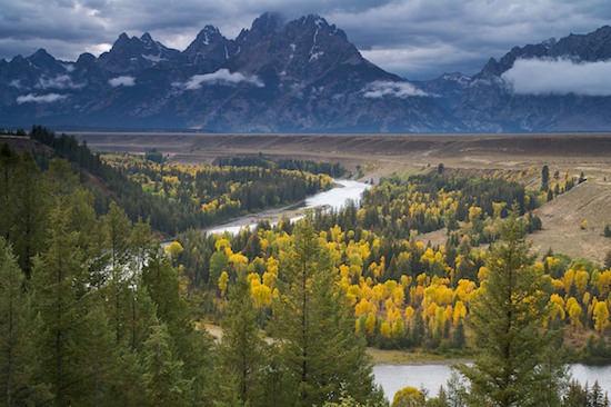 Autumn;Blue;Brook;Cloud;Cloud Formation;Clouds;Creek;Fall;Forest;Gold;Grand Tetons;Green;Landscape;Mountain;Mountain Top;Mountainous;Mountains;Peak;Pinnacle;Precipice;Range;River;River Bed;Riverbed;Rivers;Sky;Snake River;Stream;Summit;Timber;Timberland;Tree;Trees;Water;water;waterway;Weather;Wood;Woodland;Woodlands;Woods;Wyoming;Yellow